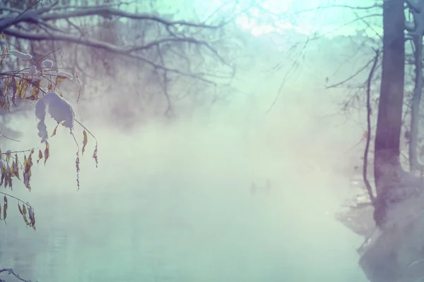 Zimowy Park Słoneczny Dzień Filtr Instagrama — Zdjęcie stockowe