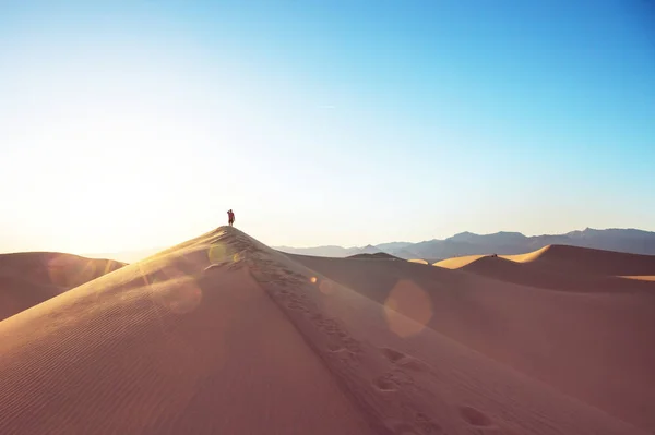 Sand Dunes Death Valley National Park California Usa Living Coral — Stock Photo, Image