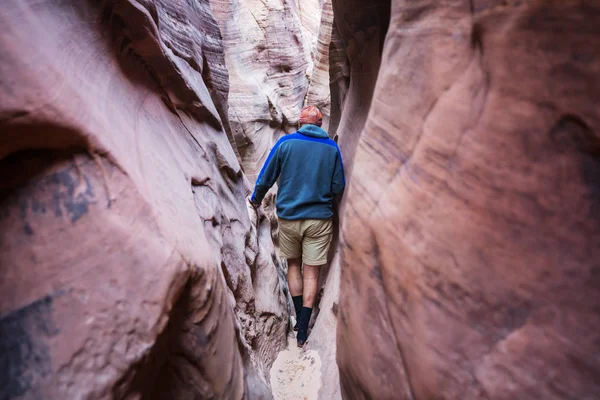 Slot Canyon Nel Grand Staircase Escalante National Park Utah Usa — Foto Stock