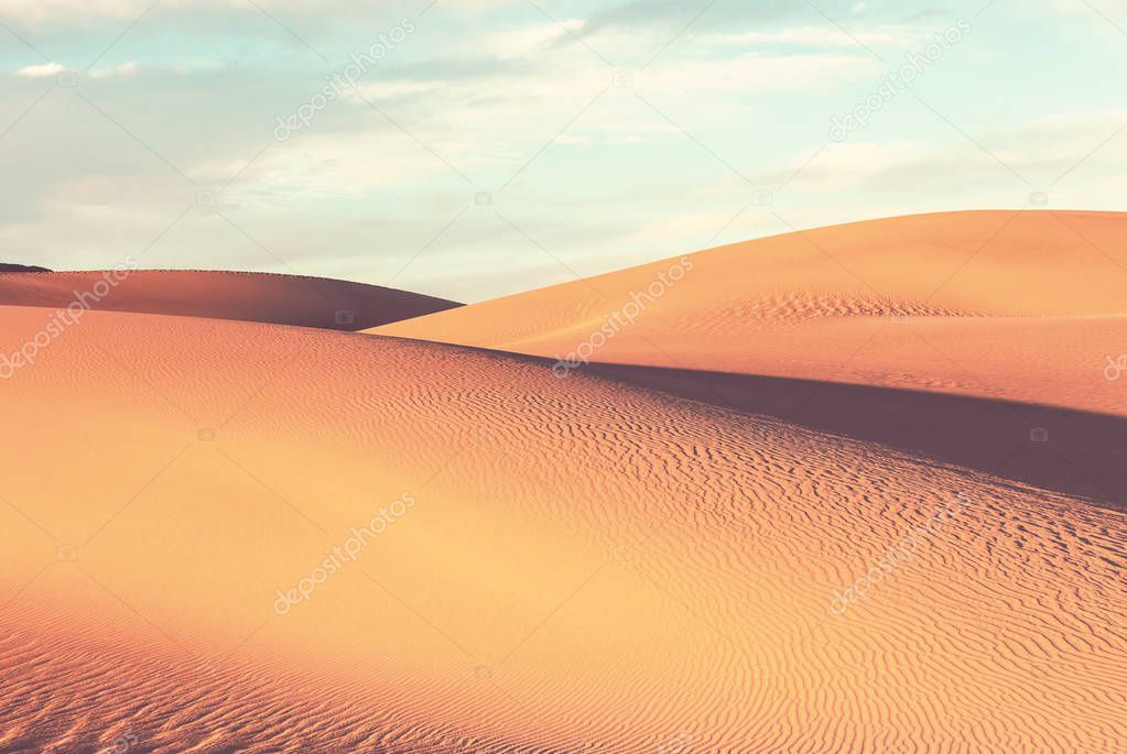 Unspoiled sand dunes in the remote desert