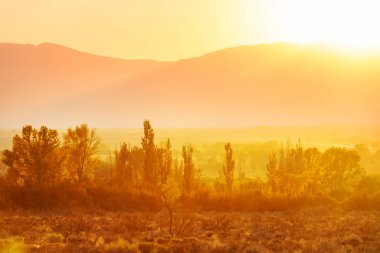 Güneşli sonbahar çayırı. Doğal arkaplan.