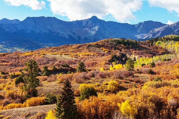 Farverige Gule Efterår Colorado Usa Efterårssæson - Stock-foto