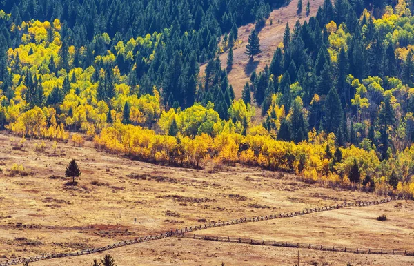 Pradera Soleada Otoño Fondo Natural — Foto de Stock