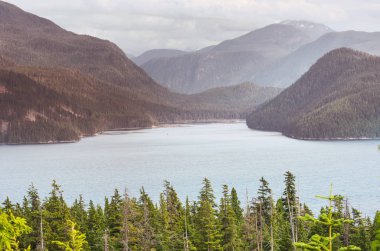 Kanada 'daki dağ gölünün sakin sularındaki kayaların yansımasıyla sakin bir manzara..