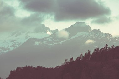 Yaz mevsiminde Kanada Kayalıkları 'nda resim gibi dağ manzarası