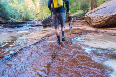 Zion Ulusal Parkı 'nda yürüyüş. Utah, Zion Ulusal Parkı 'nda bir adam yolda yürüyor. Geriye dönük bir yüz görünmüyor..
