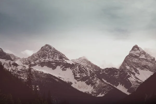 Vista Pitoresca Montanha Nas Montanhas Rochosas Canadenses Temporada Verão — Fotografia de Stock