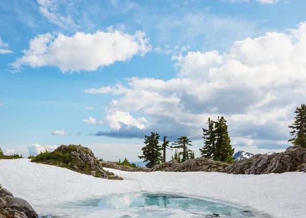 夏の季節には山の中でセレニティ湖 美しい自然景観 — ストック写真