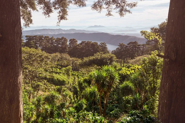 Hermoso Volcán Parque Nacional Cerro Verde Salvador Atardecer — Foto de Stock