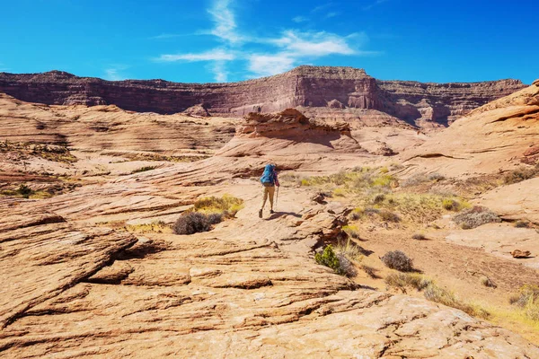 Hike Utah Mountains Hiking Unusual Natural Landscapes Fantastic Forms Sandstone — Stock Photo, Image