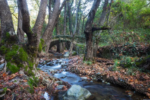 Middeleeuwse Venetiaanse Brug Cyprus — Stockfoto