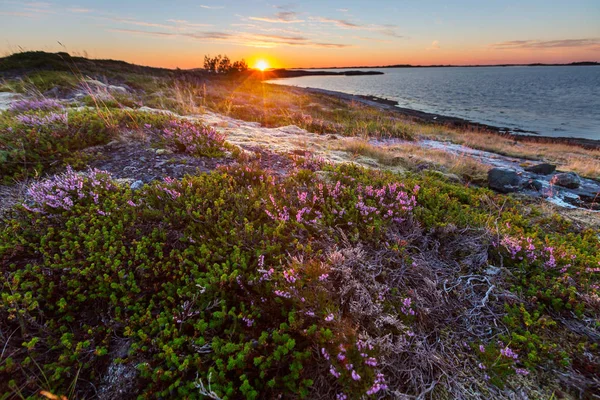 stock image Picturesque landscapes of Northern Norway