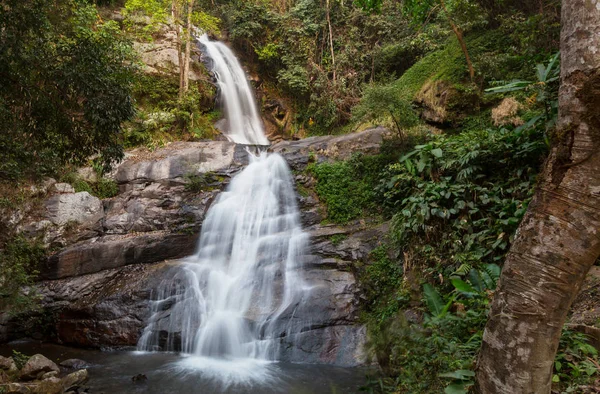 美しい緑の森の滝 — ストック写真