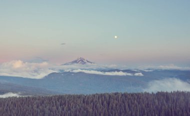 Mount. Hood in Oregon, USA clipart