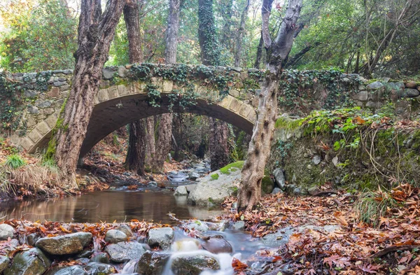 Middeleeuwse Venetiaanse Brug Cyprus — Stockfoto