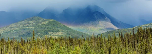 夏のカナダのロッキー山脈の美しい山の景色 — ストック写真