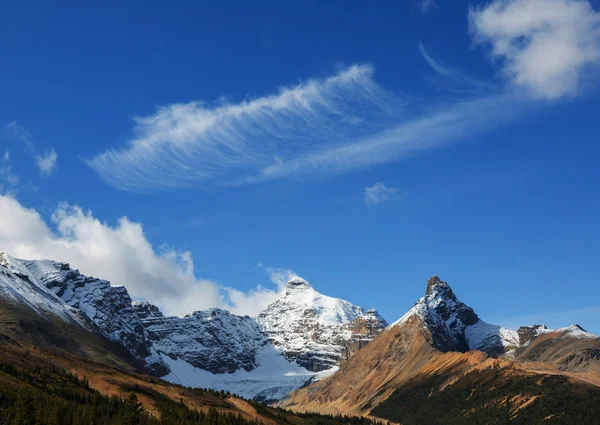 Pintoresca Vista Montaña Las Montañas Rocosas Canadienses Temporada Verano —  Fotos de Stock