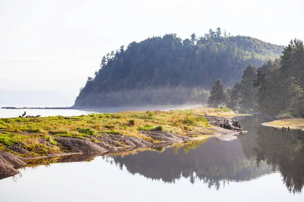 Costa Del Pacifico California Stati Uniti — Foto Stock