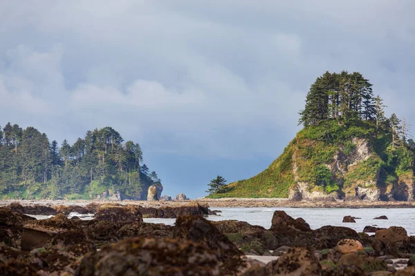 Costa Del Pacífico Escénica Rigurosa Parque Nacional Olímpico Washington Rocas —  Fotos de Stock