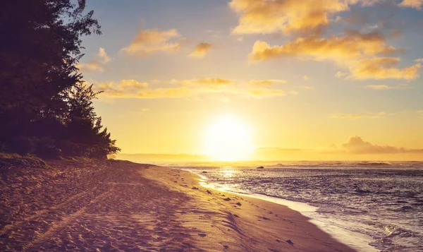 Lugn Den Tropiska Stranden — Stockfoto