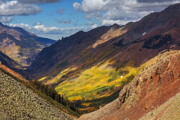 Farbenfroher Gelber Herbst Colorado Usa Herbstsaison — Stockfoto