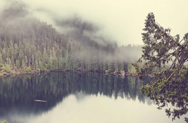 Lago Serenidade Nas Montanhas Temporada Verão Lindas Paisagens Naturais — Fotografia de Stock