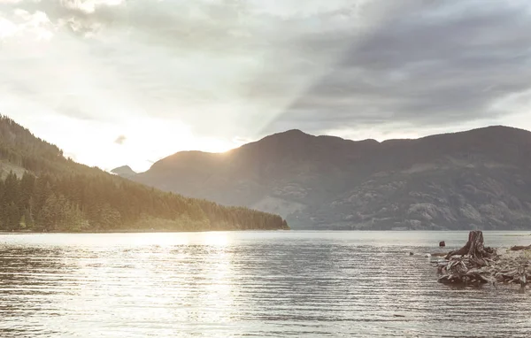 Lake in Rain forest in Vancouver island, British Columbia, Canada — Stock Image Lake Rain Forest Vancouver Island British Columbia Canada Stock Picture