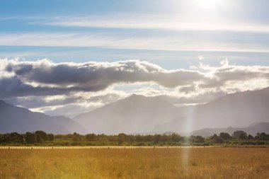 Arjantin kırsal manzara