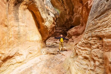 Utah, ABD 'deki Grand Staircase Escalante Ulusal Parkı' ndaki Slot Kanyonu. Utah çöllerindeki alışılmadık renkli kumtaşı oluşumları yürüyüşçüler için popülerdir. Canlı mercan tonu.