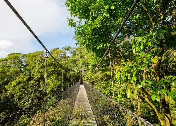 Ponte Desembarque Selva Verde Costa Rica América Central — Fotografia de Stock