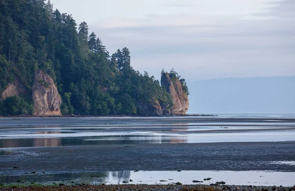 Scenic Rigorous Pacific Coast Olympic National Park Washington Usa Rocks — Stock Photo, Image
