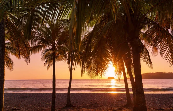 Serenidade Praia Tropical — Fotografia de Stock