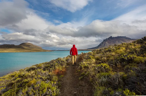 Nationaal Park Perito Moreno Patagonië Argentinië — Stockfoto