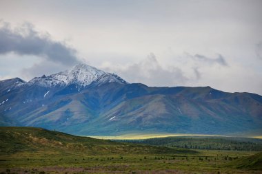 Yazın Alaska 'nın Picturesque Dağları. Karla kaplı kütleler, buzullar ve kayalık tepeler.