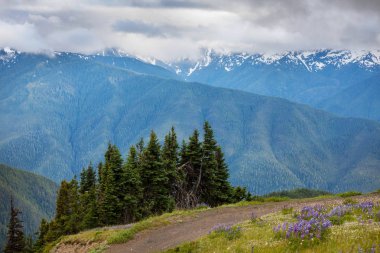 North Cascade Range, Washington / ABD 'de güzel bir dağ zirvesi.