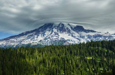 Mount Rainier Ulusal Parkı, Washington