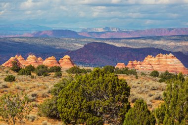 Vermillion Cliffs Vahşi Doğa Bölgesi, Utah ve Arizona 'dan Çakal Buttes.
