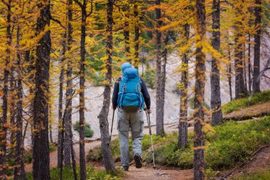 Sonbahar dağlarında yürüyüş. Sonbahar mevsimi teması.