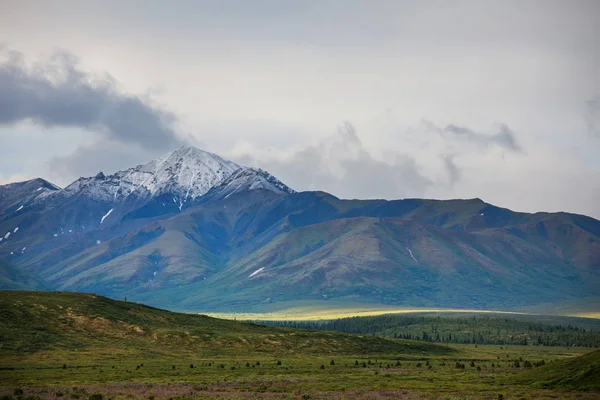 Montagne Pittoresche Dell Alaska Estate Massiccio Innevato Ghiacciai Cime Rocciose — Foto Stock