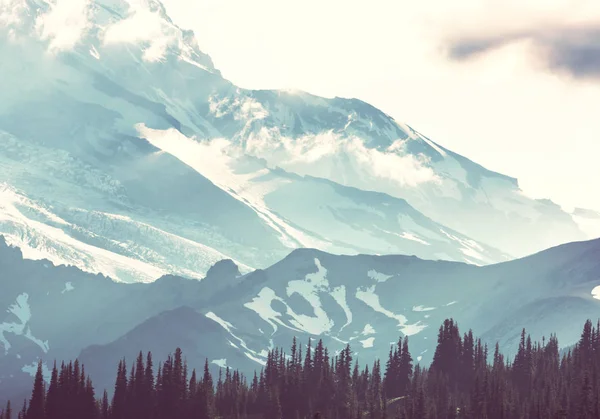 Mount Rainier Ulusal Parkı Washington — Stok fotoğraf