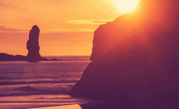 Scenic Rigorous Pacific Coast Olympic National Park Washington Usa Rocks — Stock Photo, Image