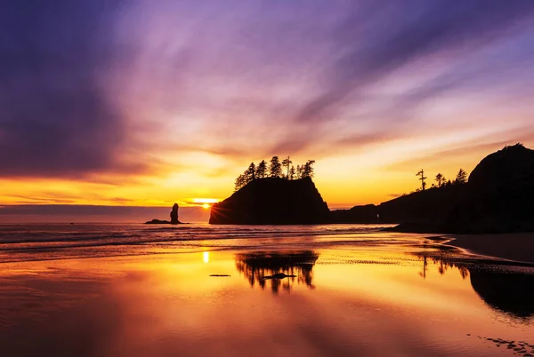 Landschaftliche Und Strenge Pazifikküste Olympic National Park Washington Usa Felsen — Stockfoto