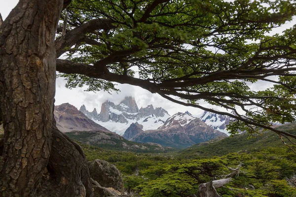 아르헨티나의 — 스톡 사진