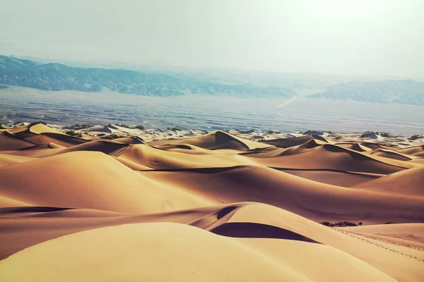 Sand Dunes Death Valley National Park California Usa Living Coral — Stock Photo, Image