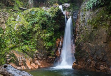 Şili 'de güzel bir şelale, Güney Amerika.