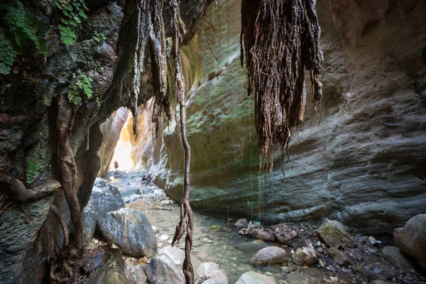 Turista Avakas Gorge Distrito Paphos Chipre Famoso Pequeno Desfiladeiro Sounh — Fotografia de Stock