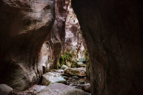 Turysta Avakas Gorge Dystrykt Pafos Cypr Słynny Mały Kanion Sounh — Zdjęcie stockowe