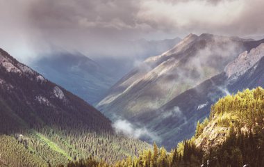 North Cascade Range, Washington / ABD 'de güzel bir dağ zirvesi.