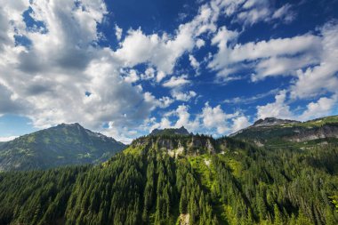 North Cascade Range, Washington / ABD 'de güzel bir dağ zirvesi.