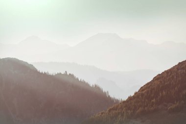 North Cascade Range, Washington / ABD 'de güzel bir dağ zirvesi.